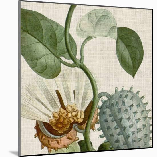 Cropped Turpin Tropicals II-Vision Studio-Mounted Premium Giclee Print