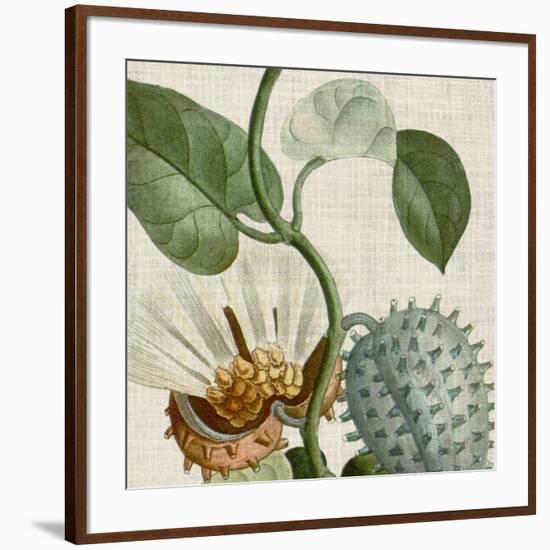 Cropped Turpin Tropicals II-Vision Studio-Framed Art Print