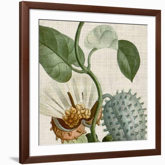 Cropped Turpin Tropicals II-Vision Studio-Framed Art Print