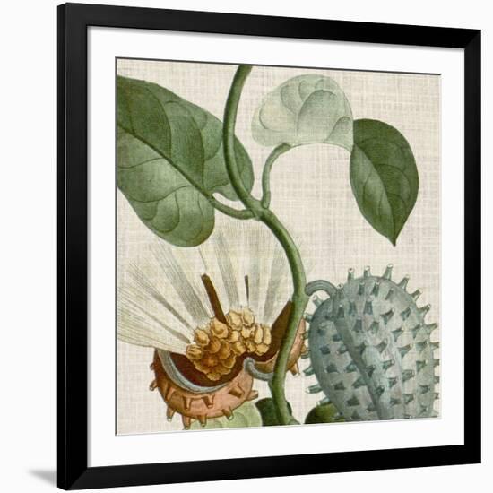 Cropped Turpin Tropicals II-Vision Studio-Framed Art Print