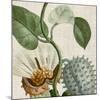 Cropped Turpin Tropicals II-Vision Studio-Mounted Art Print