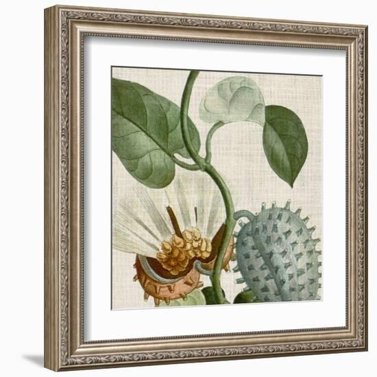 Cropped Turpin Tropicals II-Vision Studio-Framed Art Print