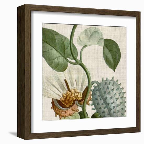 Cropped Turpin Tropicals II-Vision Studio-Framed Art Print