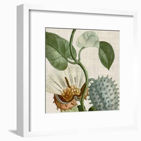 Cropped Turpin Tropicals II-Vision Studio-Framed Art Print