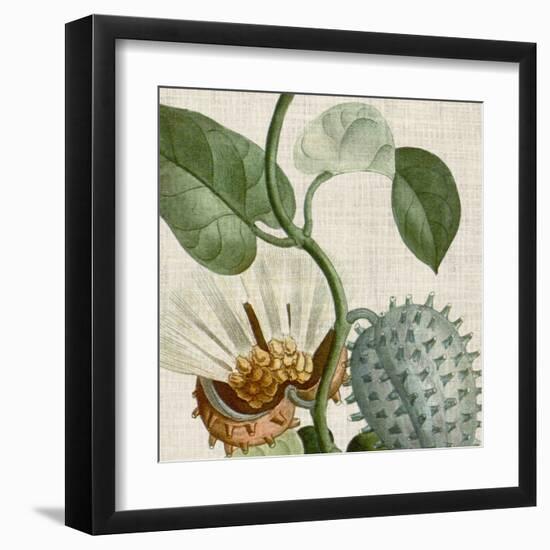 Cropped Turpin Tropicals II-Vision Studio-Framed Art Print