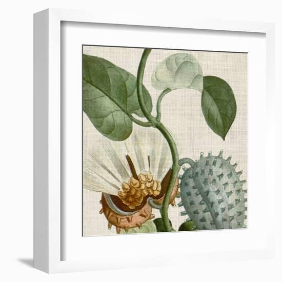 Cropped Turpin Tropicals II-Vision Studio-Framed Art Print