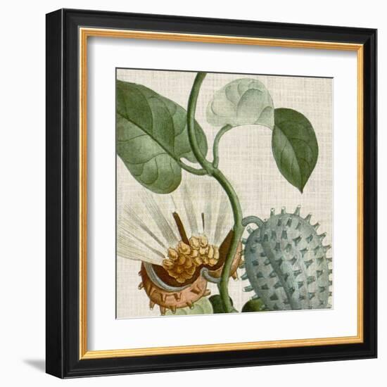 Cropped Turpin Tropicals II-Vision Studio-Framed Art Print