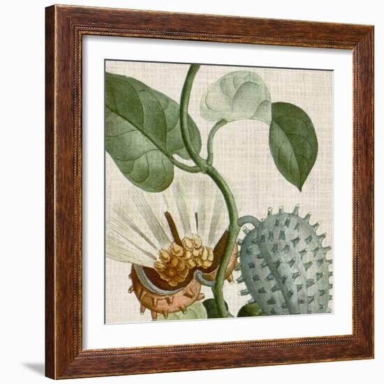 Cropped Turpin Tropicals II-Vision Studio-Framed Art Print