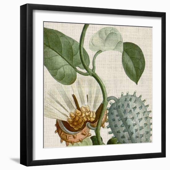 Cropped Turpin Tropicals II-Vision Studio-Framed Art Print