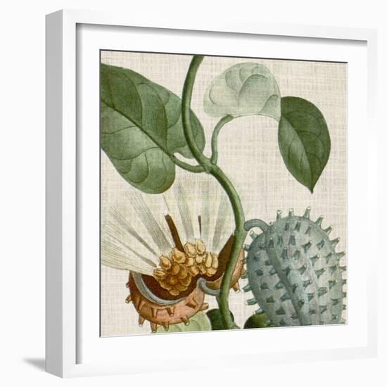 Cropped Turpin Tropicals II-Vision Studio-Framed Art Print