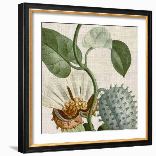 Cropped Turpin Tropicals II-Vision Studio-Framed Art Print