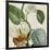 Cropped Turpin Tropicals II-Vision Studio-Framed Premium Giclee Print