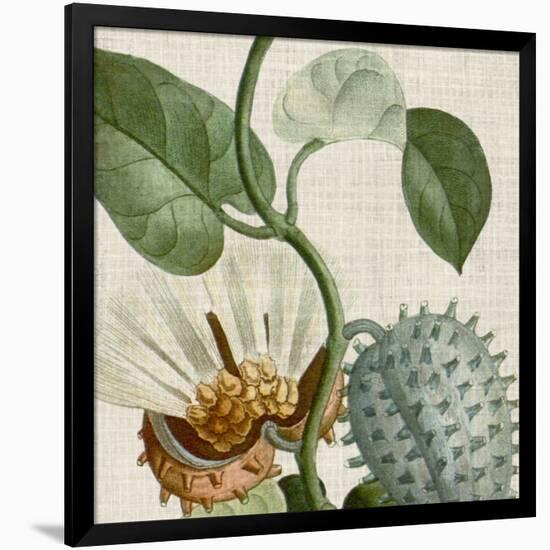 Cropped Turpin Tropicals II-Vision Studio-Framed Premium Giclee Print