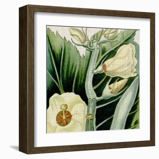 Cropped Turpin Tropicals III-Vision Studio-Framed Art Print