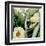 Cropped Turpin Tropicals III-Vision Studio-Framed Art Print