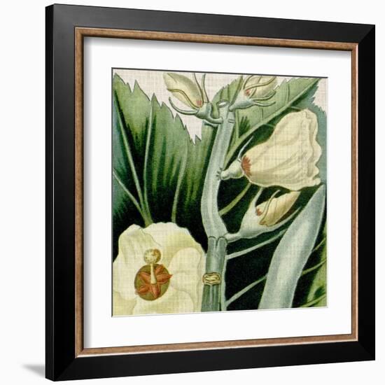 Cropped Turpin Tropicals III-Vision Studio-Framed Art Print