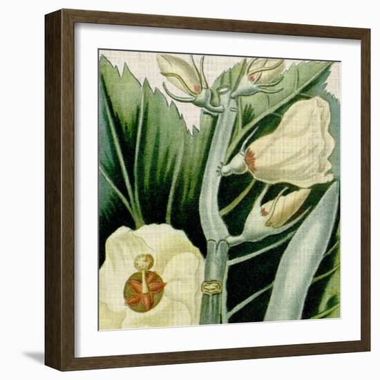 Cropped Turpin Tropicals III-Vision Studio-Framed Art Print