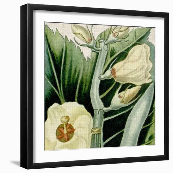 Cropped Turpin Tropicals III-Vision Studio-Framed Art Print