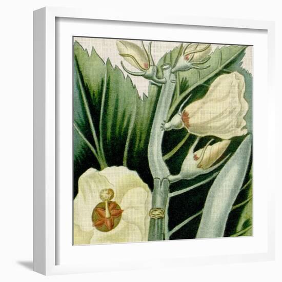 Cropped Turpin Tropicals III-Vision Studio-Framed Art Print