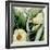 Cropped Turpin Tropicals III-Vision Studio-Framed Art Print