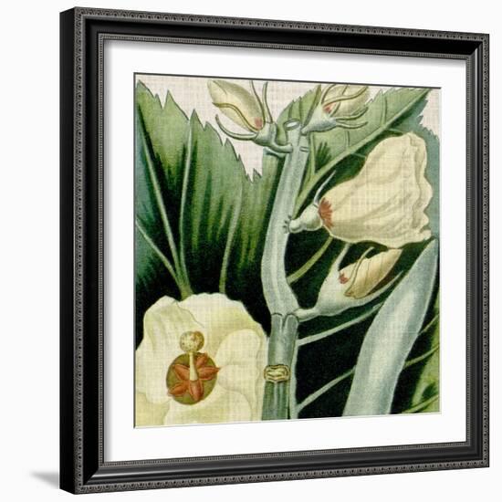 Cropped Turpin Tropicals III-Vision Studio-Framed Art Print