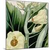 Cropped Turpin Tropicals III-Vision Studio-Mounted Art Print