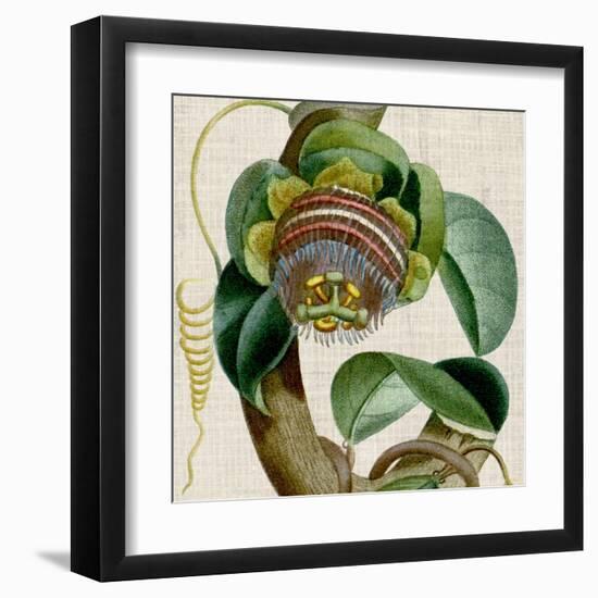 Cropped Turpin Tropicals IV-Vision Studio-Framed Art Print