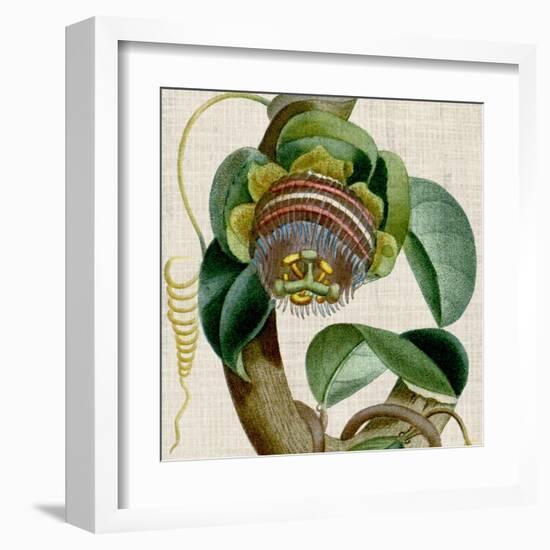 Cropped Turpin Tropicals IV-Vision Studio-Framed Art Print