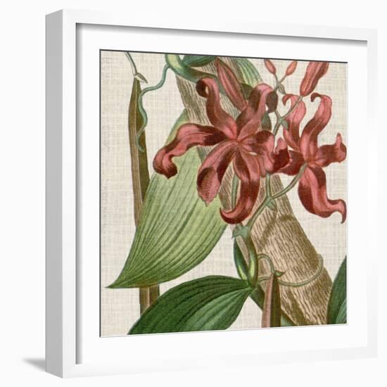 Cropped Turpin Tropicals IX-Vision Studio-Framed Premium Giclee Print