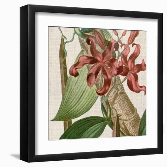 Cropped Turpin Tropicals IX-Vision Studio-Framed Art Print