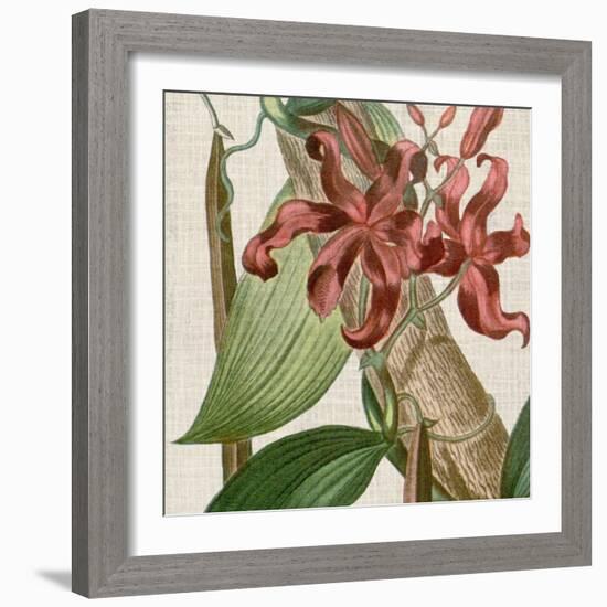 Cropped Turpin Tropicals IX-Vision Studio-Framed Art Print