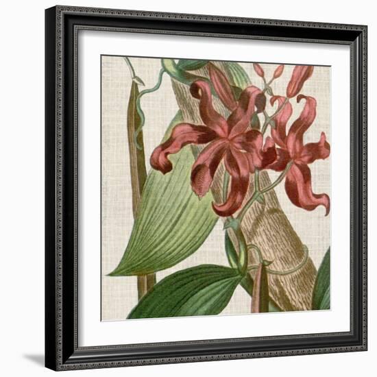 Cropped Turpin Tropicals IX-Vision Studio-Framed Art Print