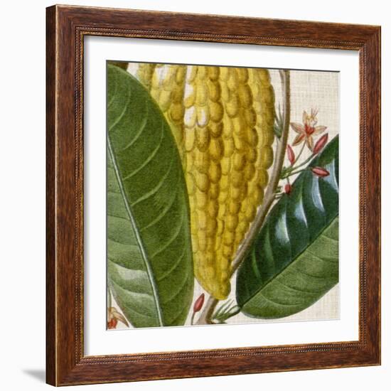 Cropped Turpin Tropicals VI-Vision Studio-Framed Art Print