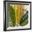 Cropped Turpin Tropicals VI-Vision Studio-Framed Art Print