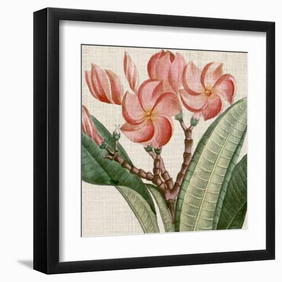 Cropped Turpin Tropicals VII-Vision Studio-Framed Art Print