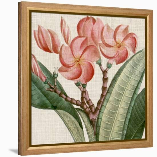 Cropped Turpin Tropicals VII-Vision Studio-Framed Stretched Canvas