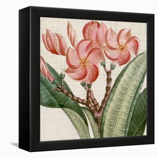 Cropped Turpin Tropicals VII-Vision Studio-Framed Stretched Canvas