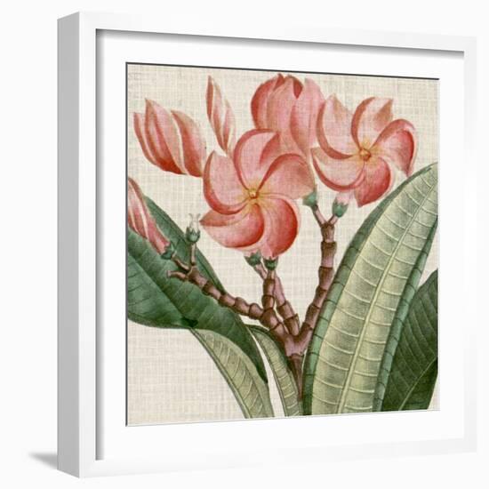 Cropped Turpin Tropicals VII-Vision Studio-Framed Art Print