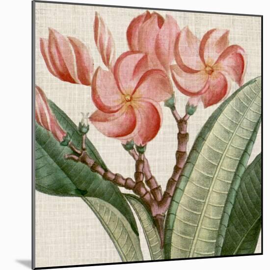 Cropped Turpin Tropicals VII-Vision Studio-Mounted Art Print