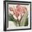 Cropped Turpin Tropicals VII-Vision Studio-Framed Art Print