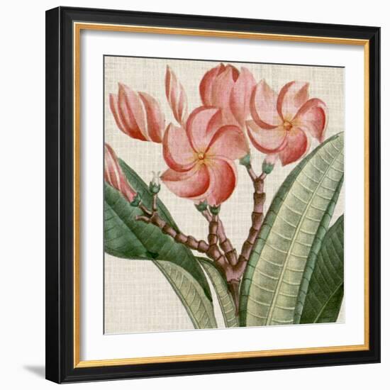 Cropped Turpin Tropicals VII-Vision Studio-Framed Art Print