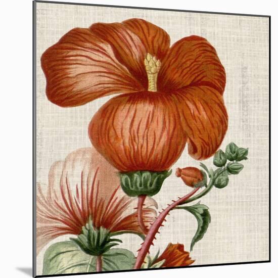 Cropped Turpin Tropicals VIII-Vision Studio-Mounted Art Print