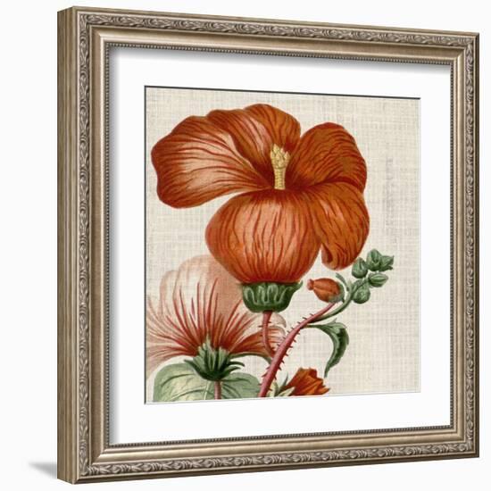 Cropped Turpin Tropicals VIII-Vision Studio-Framed Art Print