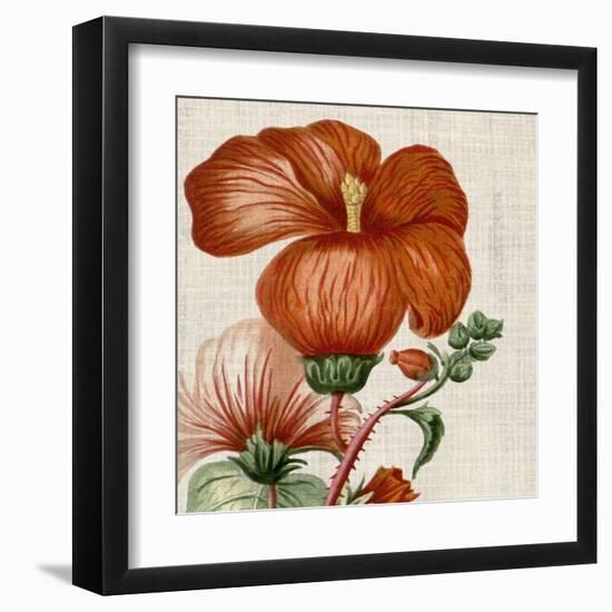 Cropped Turpin Tropicals VIII-Vision Studio-Framed Art Print