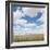 Crops growing in a field-null-Framed Photographic Print