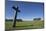 Cross at Skogskyrkogarden, UNESCO World Heritage Site, Stockholm, Sweden, Scandinavia, Europe-Jon Reaves-Mounted Photographic Print