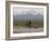 Cross-Country Bicyclist, US Hwy 50, Toiyabe Range, Great Basin, Nevada, USA-Scott T. Smith-Framed Photographic Print