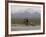 Cross-Country Bicyclist, US Hwy 50, Toiyabe Range, Great Basin, Nevada, USA-Scott T. Smith-Framed Photographic Print