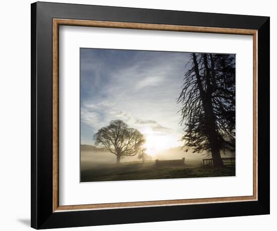 Cross-country course at dawn-AdventureArt-Framed Photographic Print