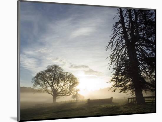 Cross-country course at dawn-AdventureArt-Mounted Photographic Print